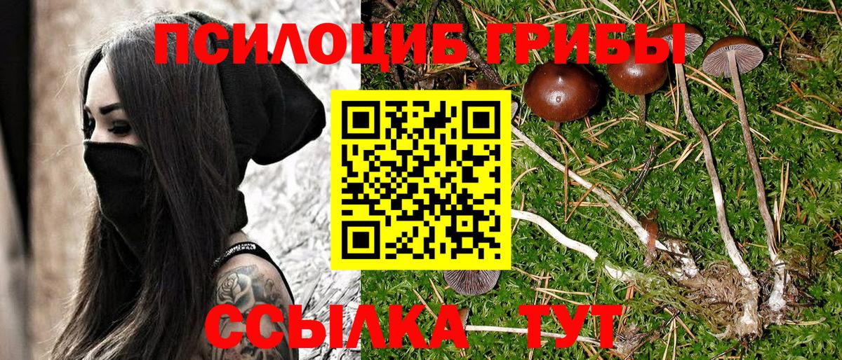 Галлюциногенные грибы мицелий  Вход с VPN  Щёлково 